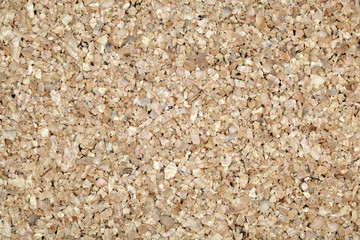 Cork Board