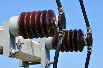 Power lines and insulators