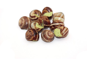 escargots