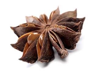 dried anisetree spice over white background with shadow