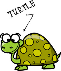 мультфильм черепаха