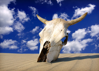 Death in the Desert