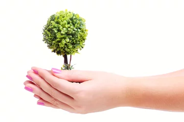 Cercles muraux Bonsaï hands holding plant