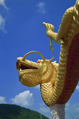 Chinese dragon on blue sky background