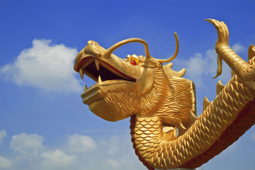 Chinese dragon on blue sky background