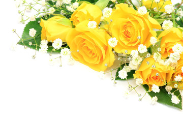 yellow rose