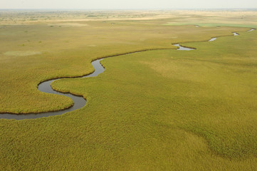 Obraz premium Delta de l'Okavango, Botswana