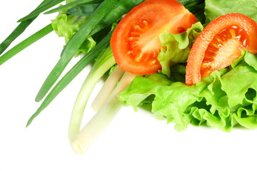 Fresh vegetable salad on white plate