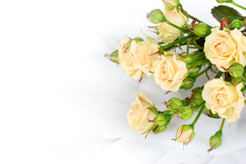 Obraz na płótnie Canvas Small roses in a white cloth isolated on white