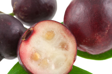 goyavier, Psidium guajava