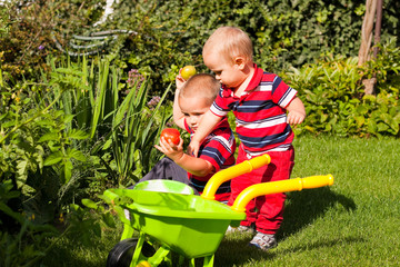 Little brothers enjoy garden