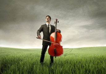 Harmony