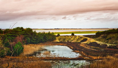 North part of the Wadden Sea in Denmark.