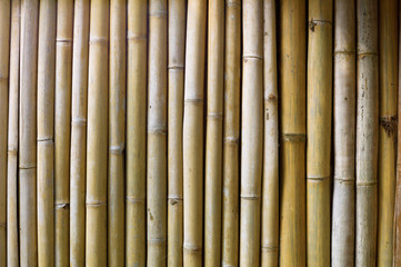 Bamboo wall