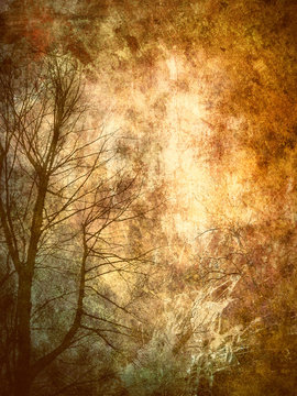 Tree, abstract grunge background