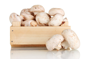 fresh mushrooms in a wooden box isolated on white