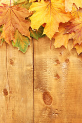 Naklejka na ściany i meble suchy klon jesienią liści na tle drewniane