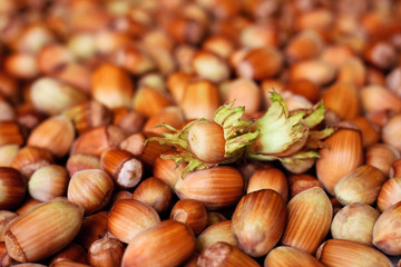 Hazelnuts