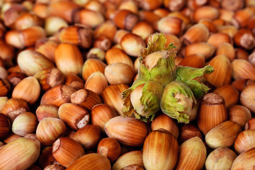 Hazelnuts