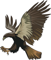 Obraz premium Falcon w ataku