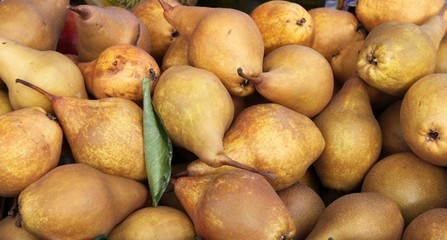 Poires au marché de Provence