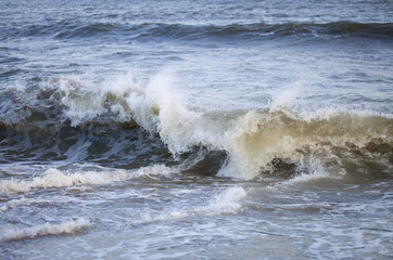 Waves in sea.