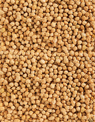 Tasty Hazelnuts Background