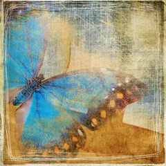 Wall murals Butterflies in Grunge grunge background with butterfly