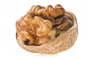 Walnuts on a white background.