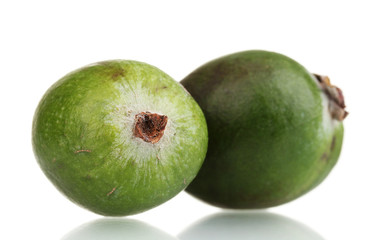 green feijoa fruit, isolated on white