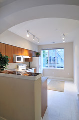 Kitchen in a condo