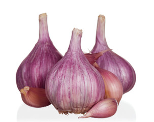 Fresh garlic