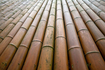 bamboo wall/bamboo house