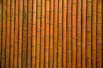 bamboo wall/bamboo house