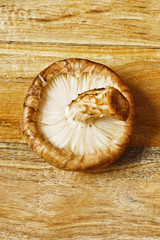 shiitake