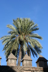 palma dentro il castello