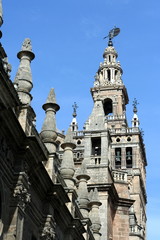 Fototapeta premium campanile della cattedrale di Siviglia