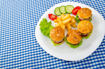 Burgers with french fries in plate