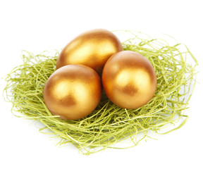 golden easter eggs in nest isolated