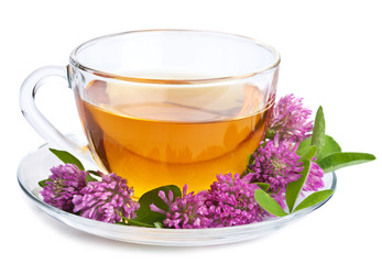herbal tea and clover flowers isolated