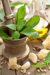 ingredients for pesto sauce