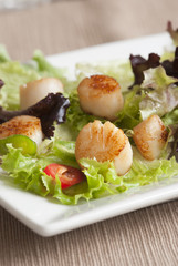Scallop and leaf salad