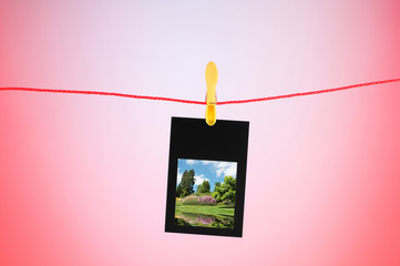 Picture frames with nature photos