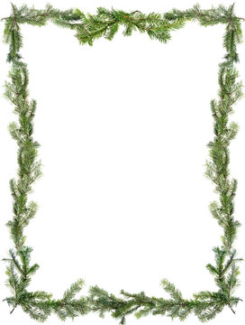 Design element.  Frame of spruce branches