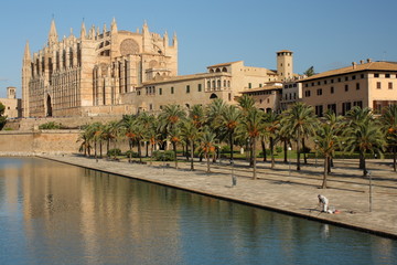 La Seu - Palma Cathedral