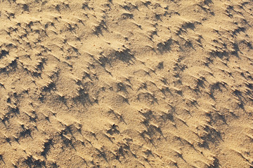 sand patterns formed by wind and sea shells