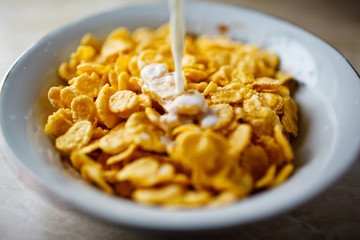 cereals in  plate with milk
