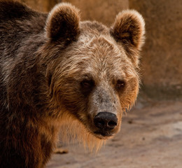 mirada