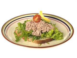 Open Tuna Sandwich
