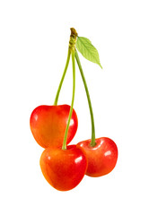 cherry fruit with green leaf isolated on white background